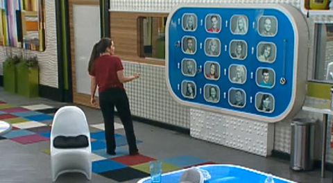 Big Brother 14 Memory Wall with Danielle