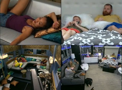 BB15-Live-Feeds-0807-night-main