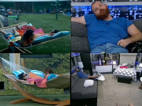 BB15-Live-Feeds-0820-night-main