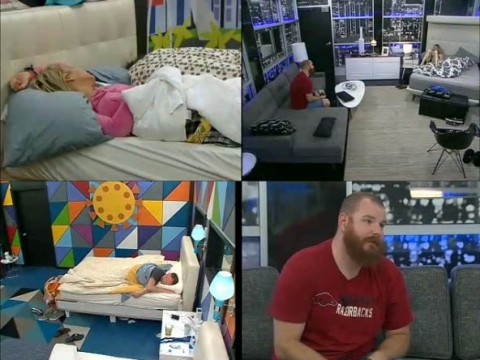 BB15-Live-Feeds-0906-day-main