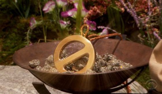 Big Brother 17 Power of Veto medallion