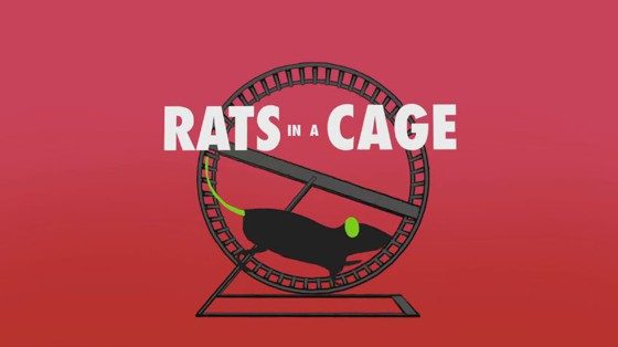 Rats In A Cage on Big Brother 18