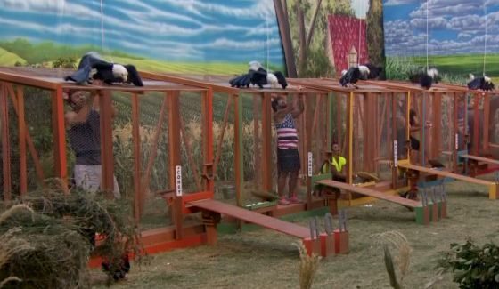 HoH comp in BB18 Week 11