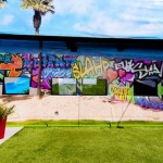 Big Brother 13 house - backyard wall