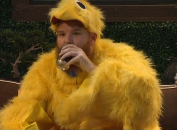 A chicken drinking beer