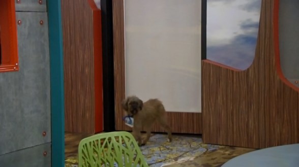 bb16-20140909-0904-izzy-door-04