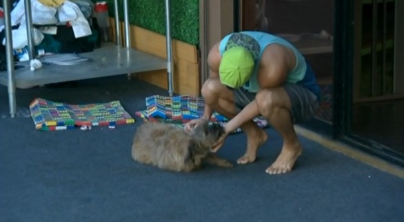 bb16-20140909-0908-cody-izzy