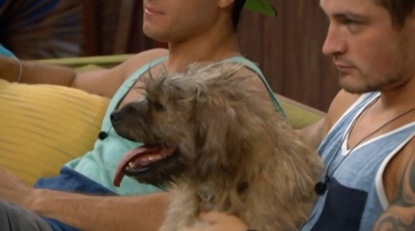 bb16-20140909-0929-izzy