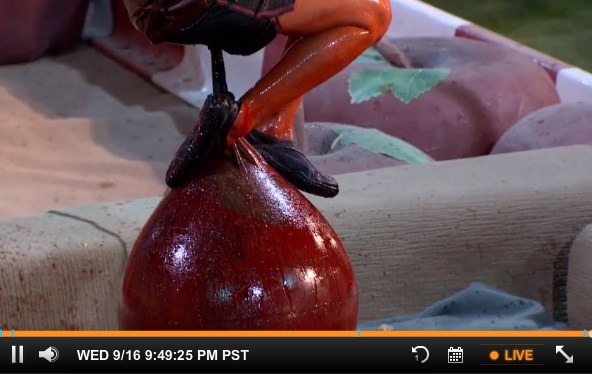 bb17-feeds-20150916-2149-02-liz