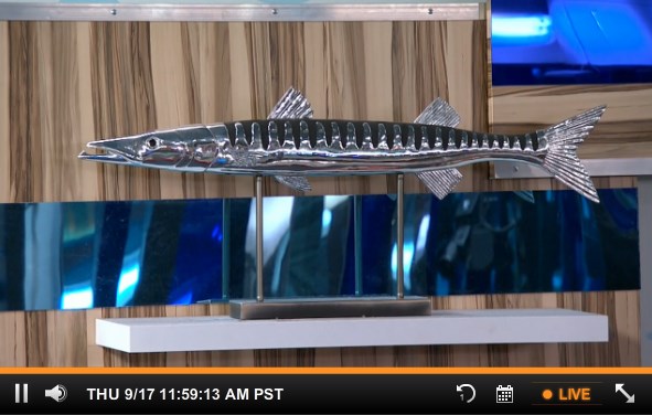 bb17-feeds-20150917-1159-fish